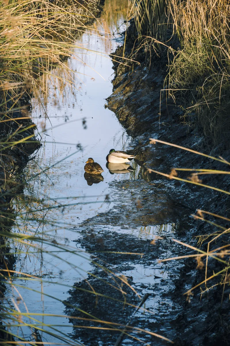 122 DSC07178 Enhanced NR 73