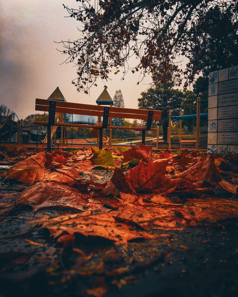 168 IMG 4011 Edited 119