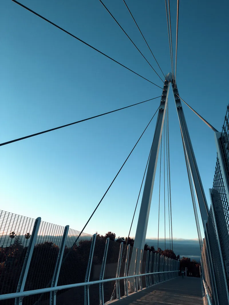 172 IMG 6428 Edited 123