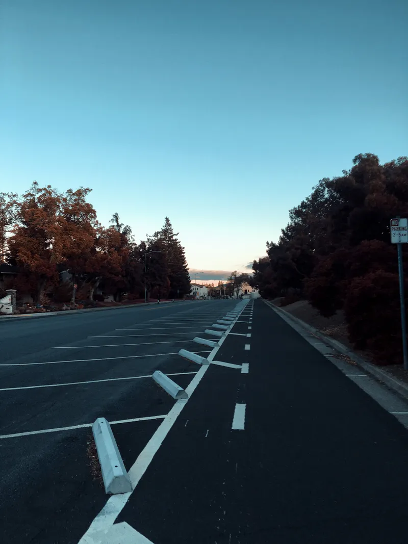 174 IMG 6456 Edited 125