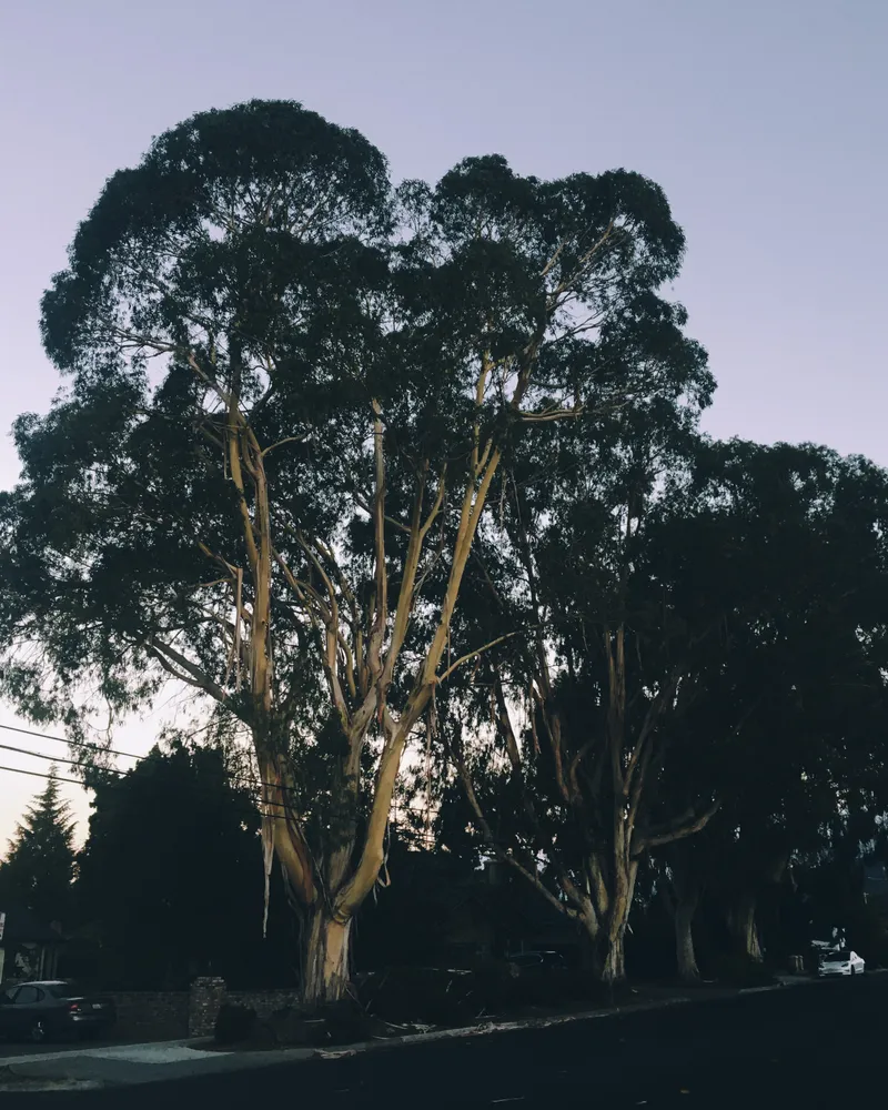 175 IMG 6464 Edited 126