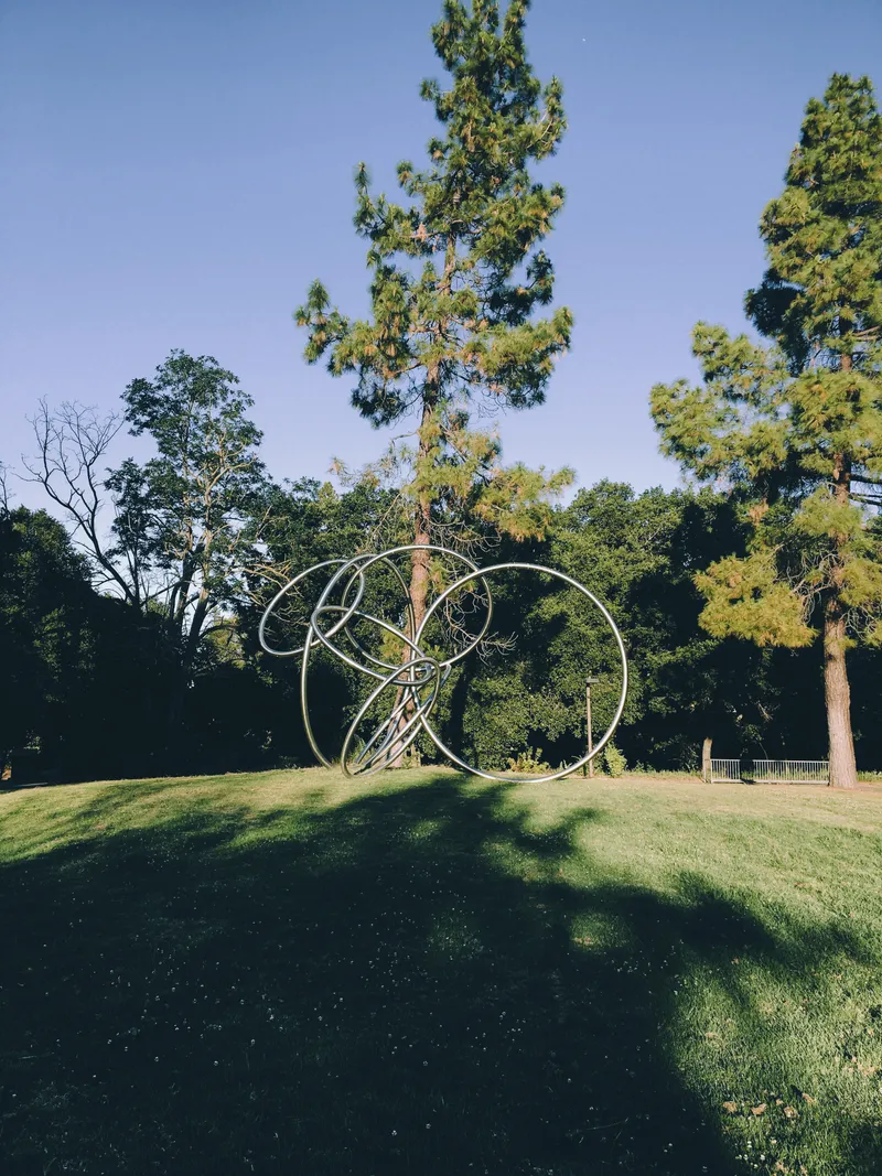 176 IMG 6539 Edited 127