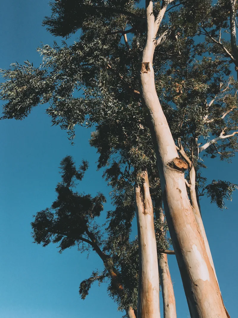 177 IMG 6543 Edited 128