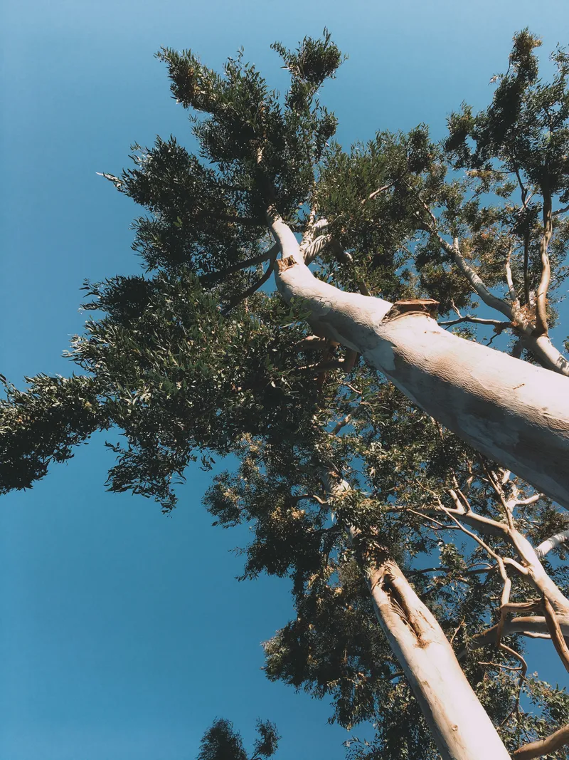 178 IMG 6545 Edited 129