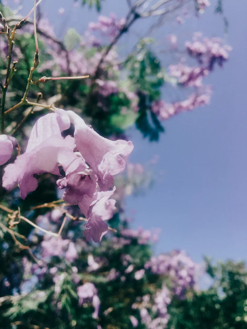 179 IMG 6583 Edited 130