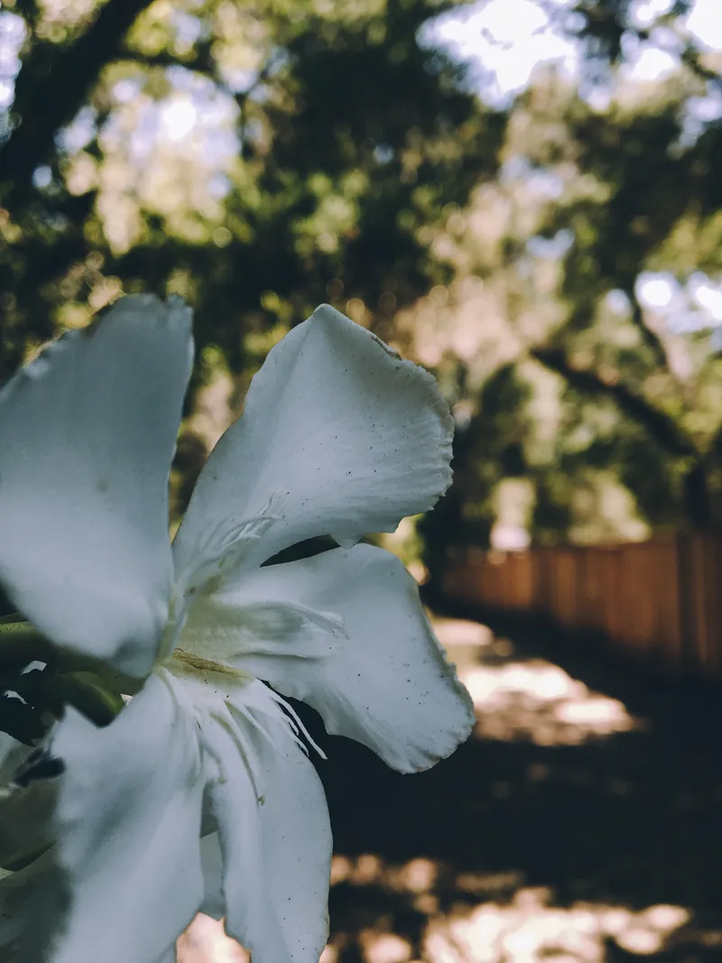 180 IMG 6610 Edited 131